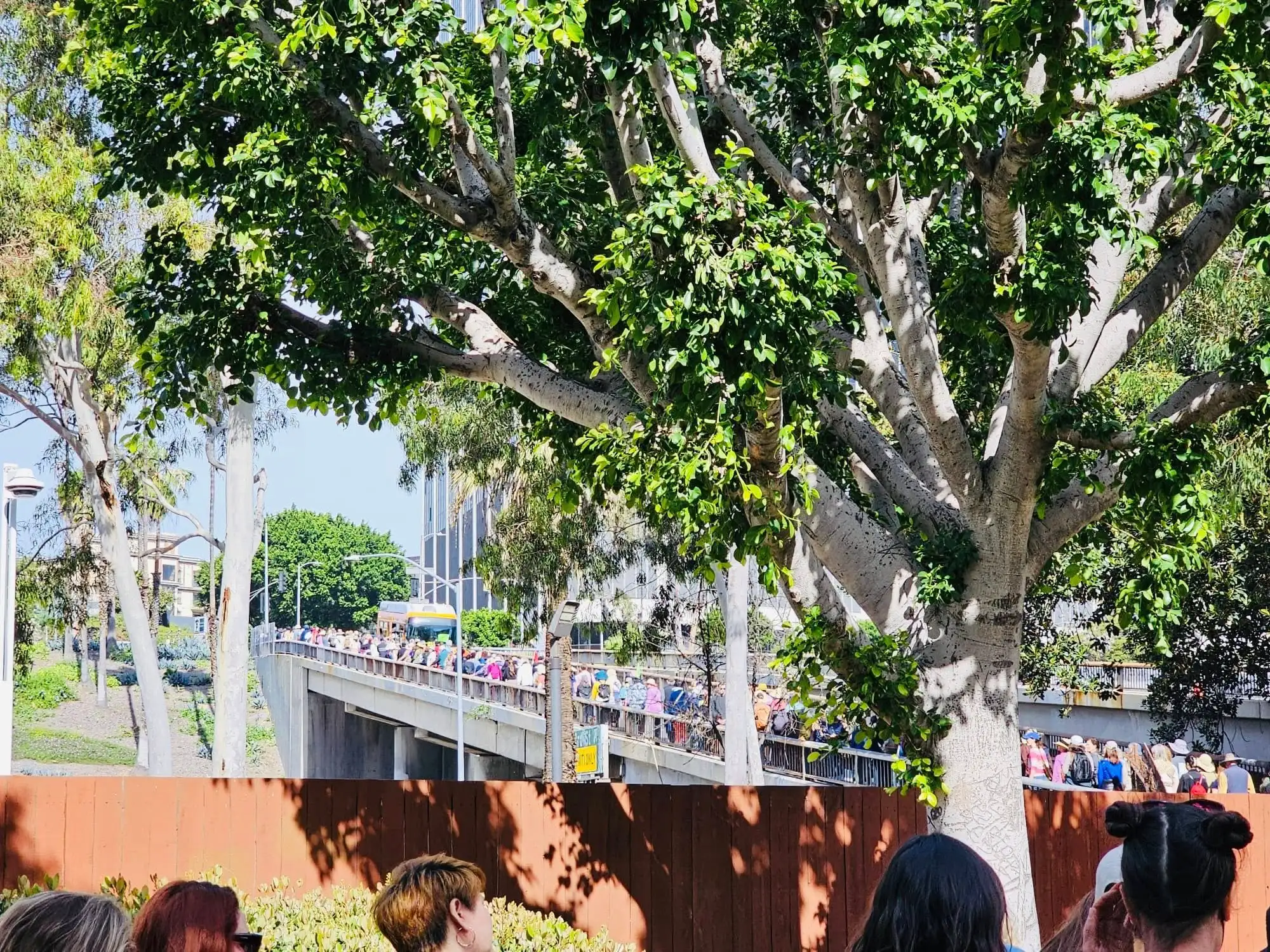 Walk for Peace event photo 2